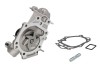 Pompa apa RENAULT CLIO I (B/C57, 5/357) (1990 - 1998) THERMOTEC D1R021TT