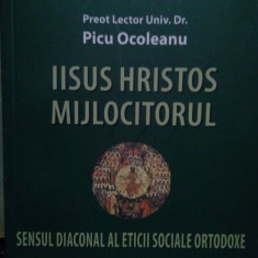 Picu Ocoleanu - Iisus Hristos mijlocitorul (2008)