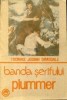 Thomas J. Dimsdale - Banda şerifului Plummer