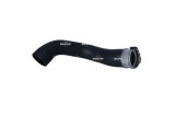 NRF 166043 Furtun ear supraalimentare