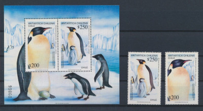 CHILE-Antarctica-Pinguini-Serie de 2 timbre si colita nestampilate din 1992 MNH foto