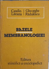 BAZELE MEMBRANOLOGIEI-CANDIN LITEANU GHEORGHE RADULESCU-215890