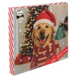 Calendar Advent cu Gustări pentru C&acirc;ini, 24 de Bucăți, Multicolor, CMCLASS