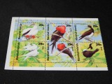 Marshall Islands 1991 &ndash; Bloc 6 Timbre Păsări Tropicale Marine 29c MNH Faună -A61
