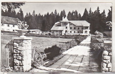 bnk cp Poiana Brasov - Complexul Ruia - circulata foto