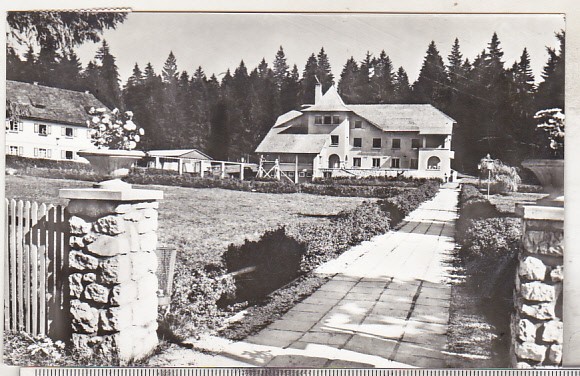 bnk cp Poiana Brasov - Complexul Ruia - circulata
