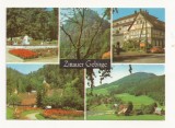 SG6 - Carte Postala - Germania, Zittauer Gebirge, Necirculata 1974, Fotografie