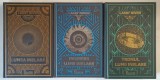SERIA LUMEA INELARA , VOLUMELE I - III de LARRY NIVEN , 2017