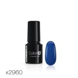 Silcare Color IT Premium WOW Woman 2960, 6g