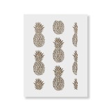 Cumpara ieftin Sablon Perete vopsire, tencuiala 900x600x0.7mm Pineapple Refolosibil, model MXSP7104