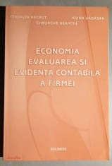 Economia, evaluarea si evidenta contabila a firmei - Negrut, Vadasan, Neamtiu