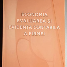 Economia, evaluarea si evidenta contabila a firmei - Negrut, Vadasan, Neamtiu