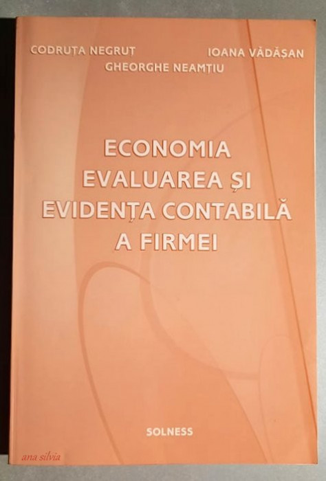 Economia, evaluarea si evidenta contabila a firmei - Negrut, Vadasan, Neamtiu