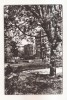 RF102 - Carte Postala - Timisoara. necirculata