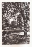 RF102 - Carte Postala - Timisoara. necirculata