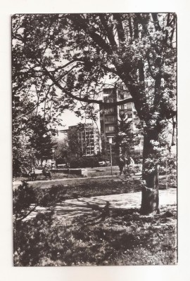 RF102 - Carte Postala - Timisoara. necirculata foto
