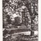 RF102 - Carte Postala - Timisoara. necirculata