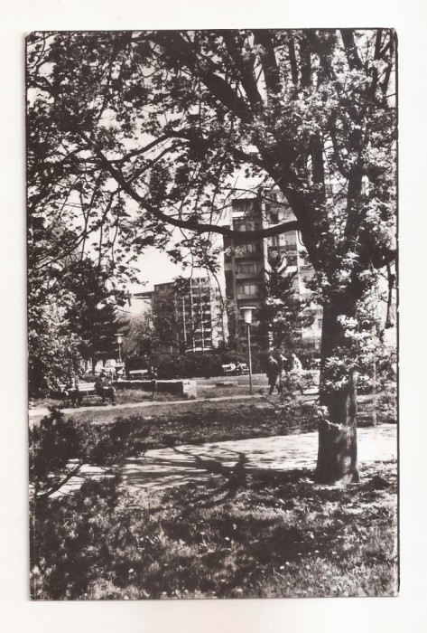 RF102 - Carte Postala - Timisoara. necirculata