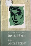 Insemnarile unui adolescent Florian Grecea