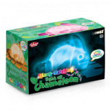 Lampa cameleon PlayLearn Toys, Tobar