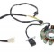 Magnetou ATV Loncin 200cc(11 bobine)
