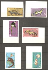 VIETNAM 1965 FAUNA ANIMALE SALBATICE NEDANTELATE foto
