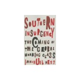 Southern Insurgency: The Coming of the Global Working Class