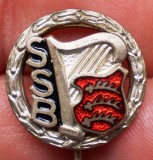 I.805 INSIGNA GERMANIA STICKPIN MUZICA LIRA COR SSB W&uuml;rttemberg h16mm email, Europa