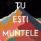 Tu Esti Muntele. Cum Sa Transformi Autosabotarea In Autocontrol, Brianna Wiest - Editura Nemira