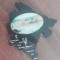 D5 - Magnet frigider - tematica turism - Muntenegru 1