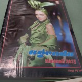 ALMANAH AGENDA 2015 /FORMAT MARE /
