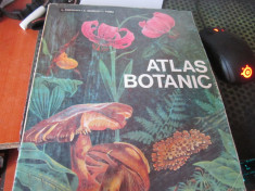 atlas botanic an 1993 h 28 foto