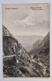 SINAIA - BUSTENI , VALEA CERBULUI , CALEA LA IMAN , CARTE POSTALA , INCEPUTUL SEC. XX