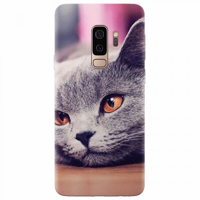 Husa silicon pentru Samsung S9 Plus, British Shorthair Cat Yellow Eyes Portrait