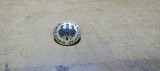 Insigna Besuch beim deutschen Bundestag #B254