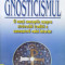 Gnosticismul O Noua Conceptie Asupra Stravechii Traditii A Cu - Stephan A. Hoeller ,559996