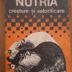 Nutria Crestere Si Valorificare - Nicolae Panait, Victor Ionescu ,279982