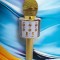 Microfon karaoke auriu cu bluetooth și boxă
