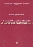 Notes On Gauge Theory And Hodge Theory - Gheorghe Ionesei