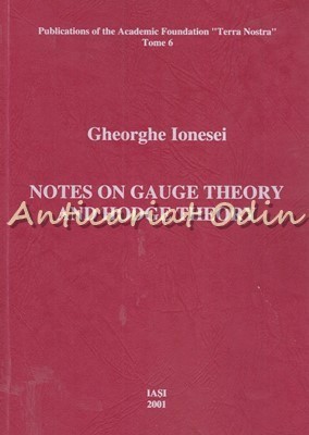 Notes On Gauge Theory And Hodge Theory - Gheorghe Ionesei foto