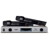 Set de 2 microfoane wireless profesionale cu receiver, DM-2186, Weisre