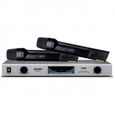 Set de 2 microfoane wireless profesionale cu receiver, DM-2186