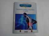 SANATATEA OASELOR, MUSCHILOR SI PIELII - LAROUSSE - ENCICLOPEDIA MEICINALA A FAMILIEI - VOLUMUL VI