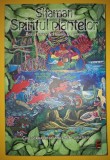 Shaman (Spiritul plantelor) - Ross Heaven, Howard C. Charing - Spiritualitate, Ezoterism - Carte brosata