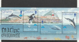 Fauna ,delfini ,Gibraltar., Nestampilat