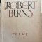 Robert Burns - Poeme