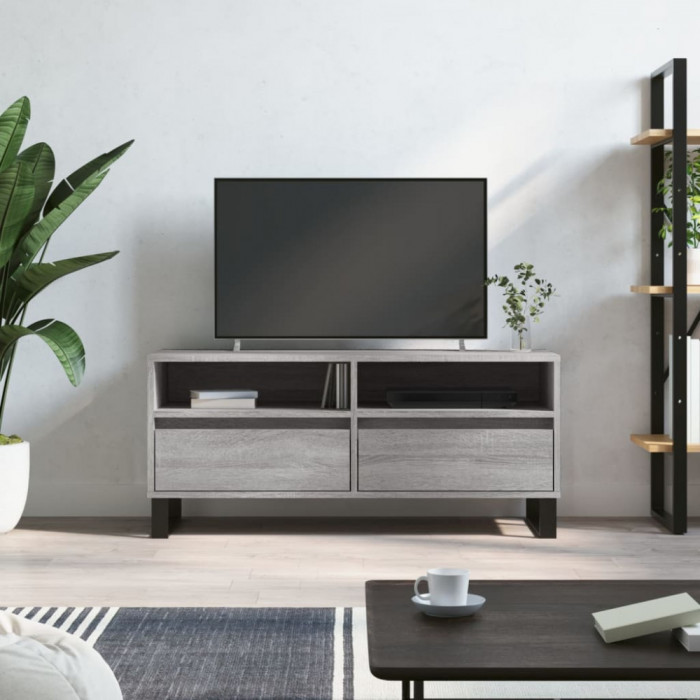 Comoda TV, gri sonoma, 100x34,5x44,5 cm, lemn prelucrat GartenMobel Dekor