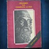 Pelerin la Templul Lumii - Anca Balaci - Carte de Calatorie, Editura necunoscuta