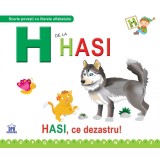 H de la Hasi - Necartonata