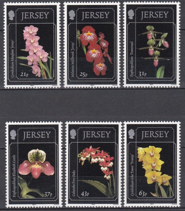 Jersey 1999 - Orhidee, MNH